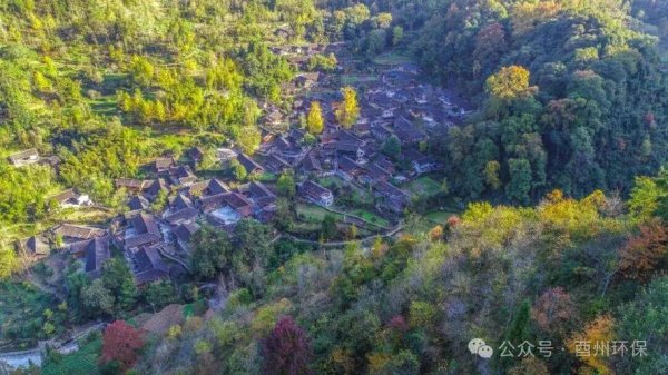 PG电子官网 重庆酉阳：连片保护织就古寨新卷